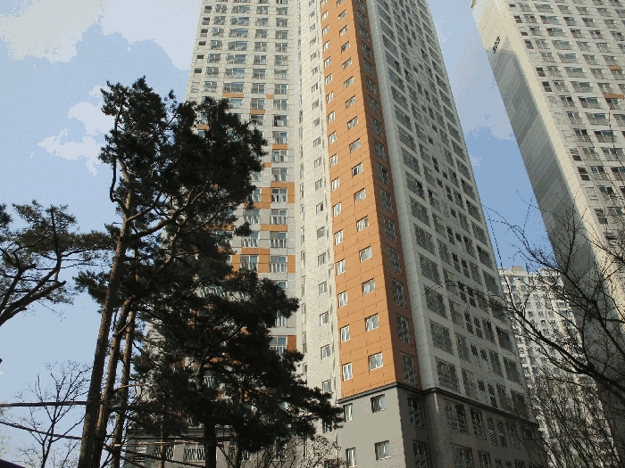 B000253202501300005895.jpg