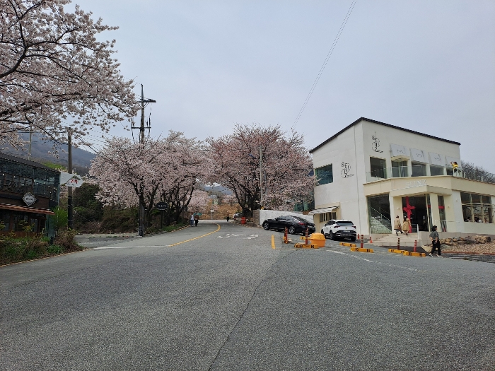 B0004202024013010415018.jpg